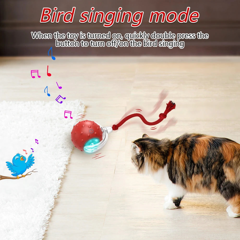 Super Drive Cat Rolling Balls with Bird Chirping Motion