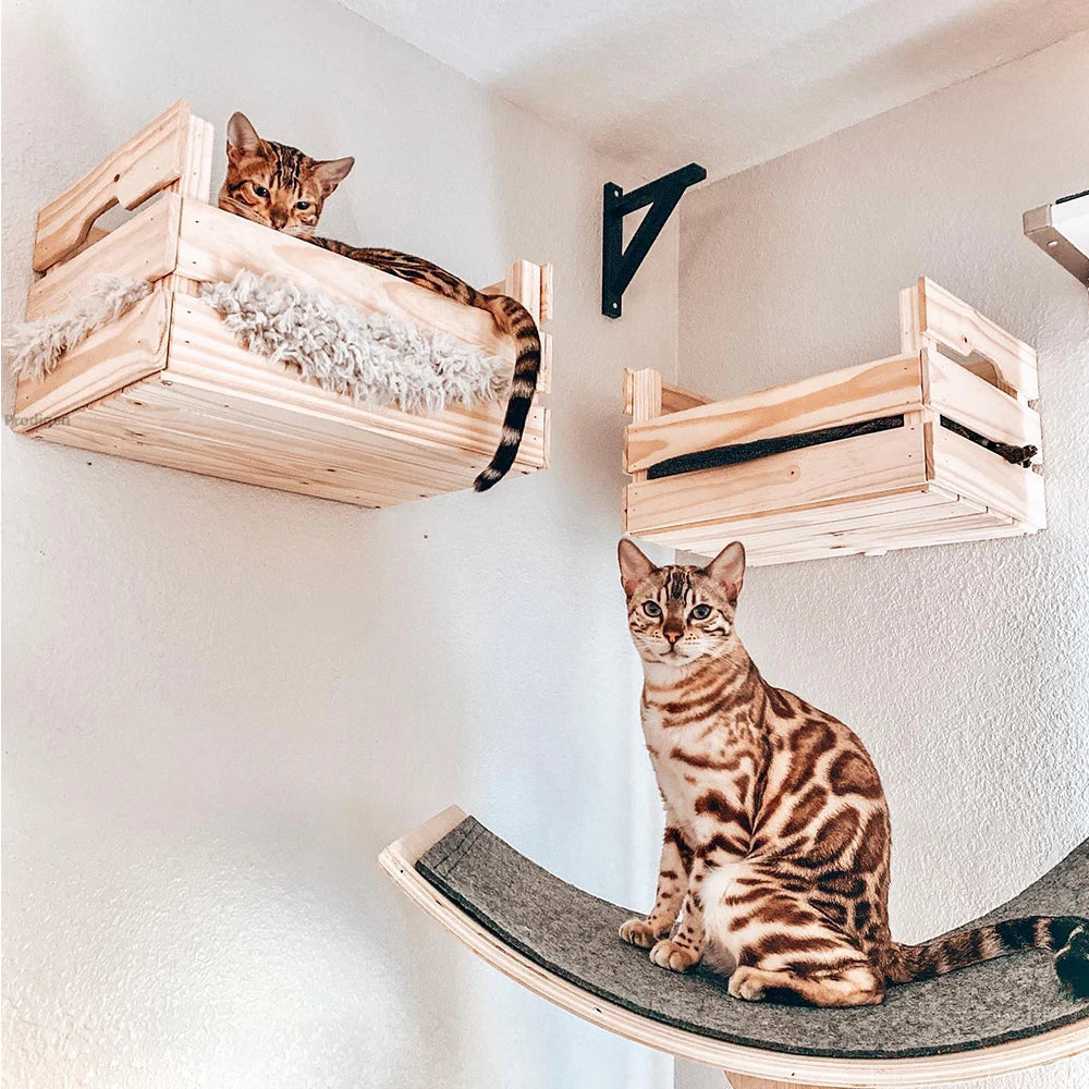 Corner Cat Perches with Curved Bed, Shelf Steps, and Sisal Scratching Post