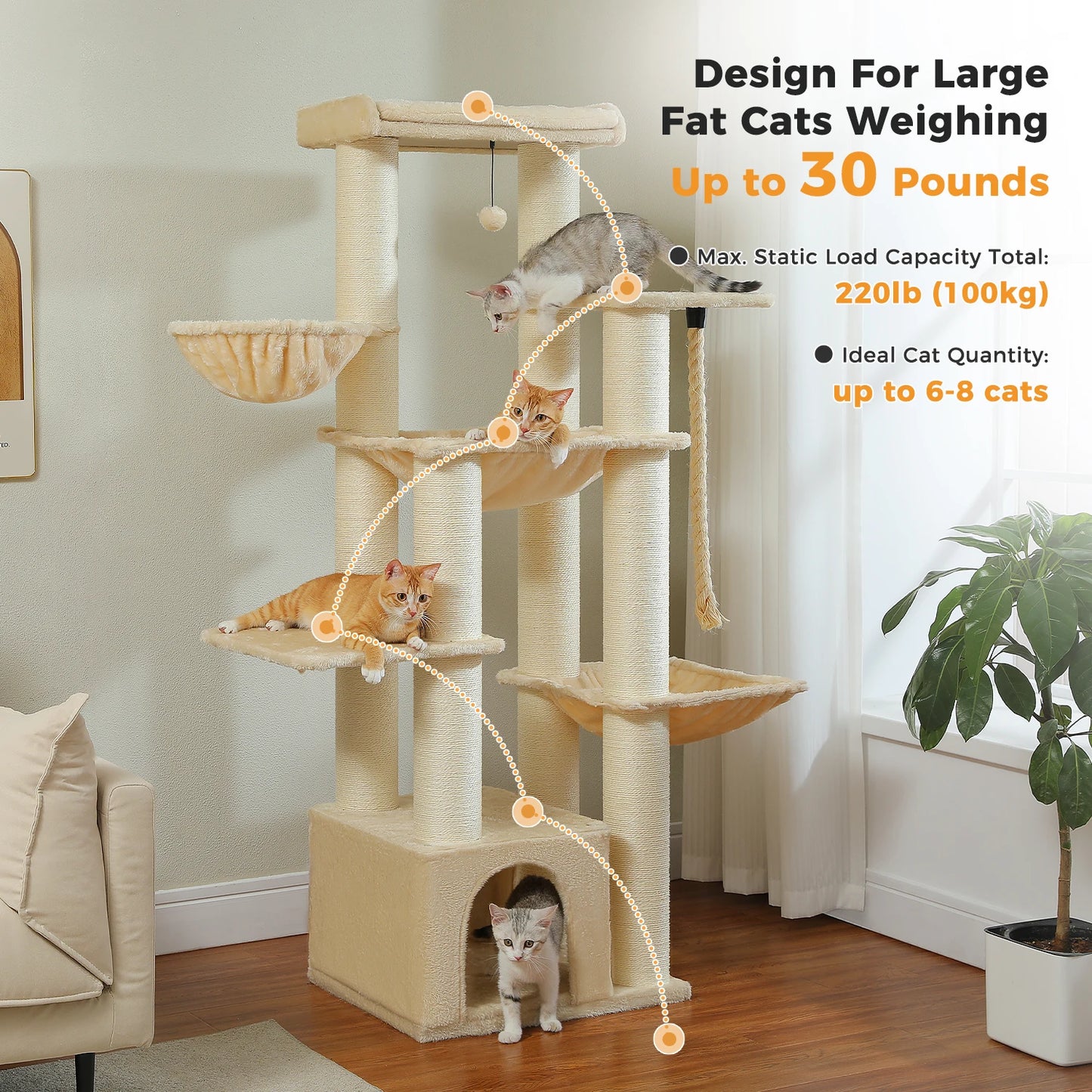 Amzing Cat Tree for Big Cats