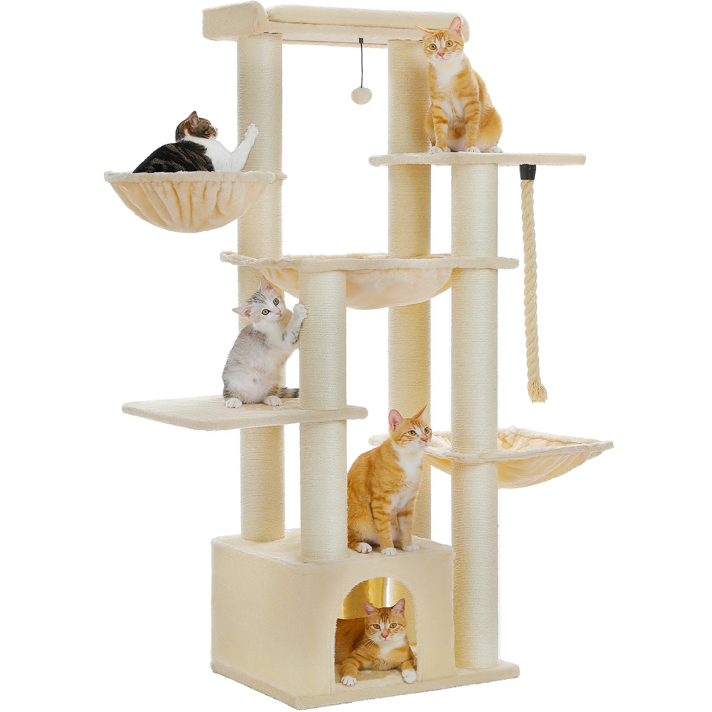 Amzing Cat Tree for Big Cats