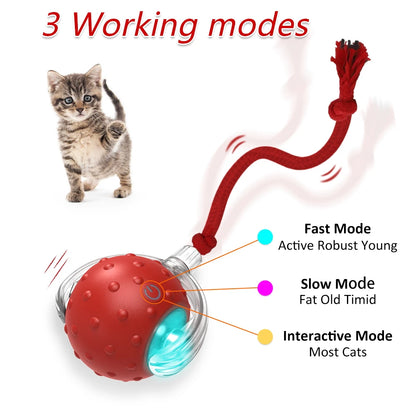 Super Drive Cat Rolling Balls with Bird Chirping Motion