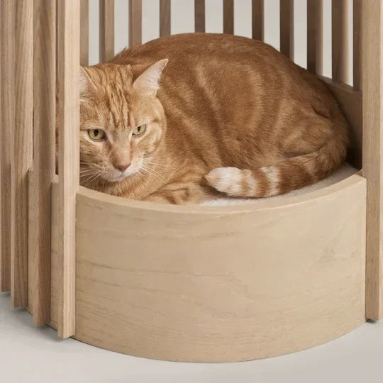 Luxury Wooden Cat House - Wicker Cat Bed and Enclosed Bedside Cat Furniture for Stylish Homes