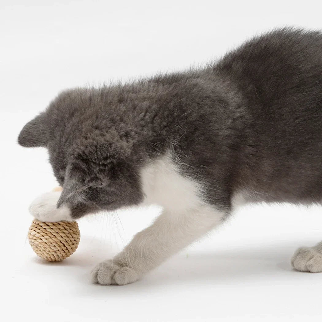 Rattan and Faux Feather Cat Ball Toy Set