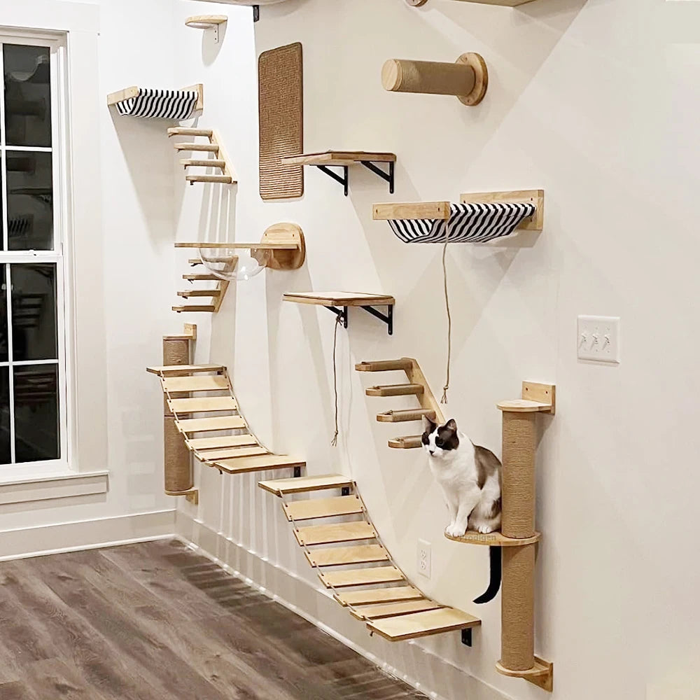 Cat Wall Hammock