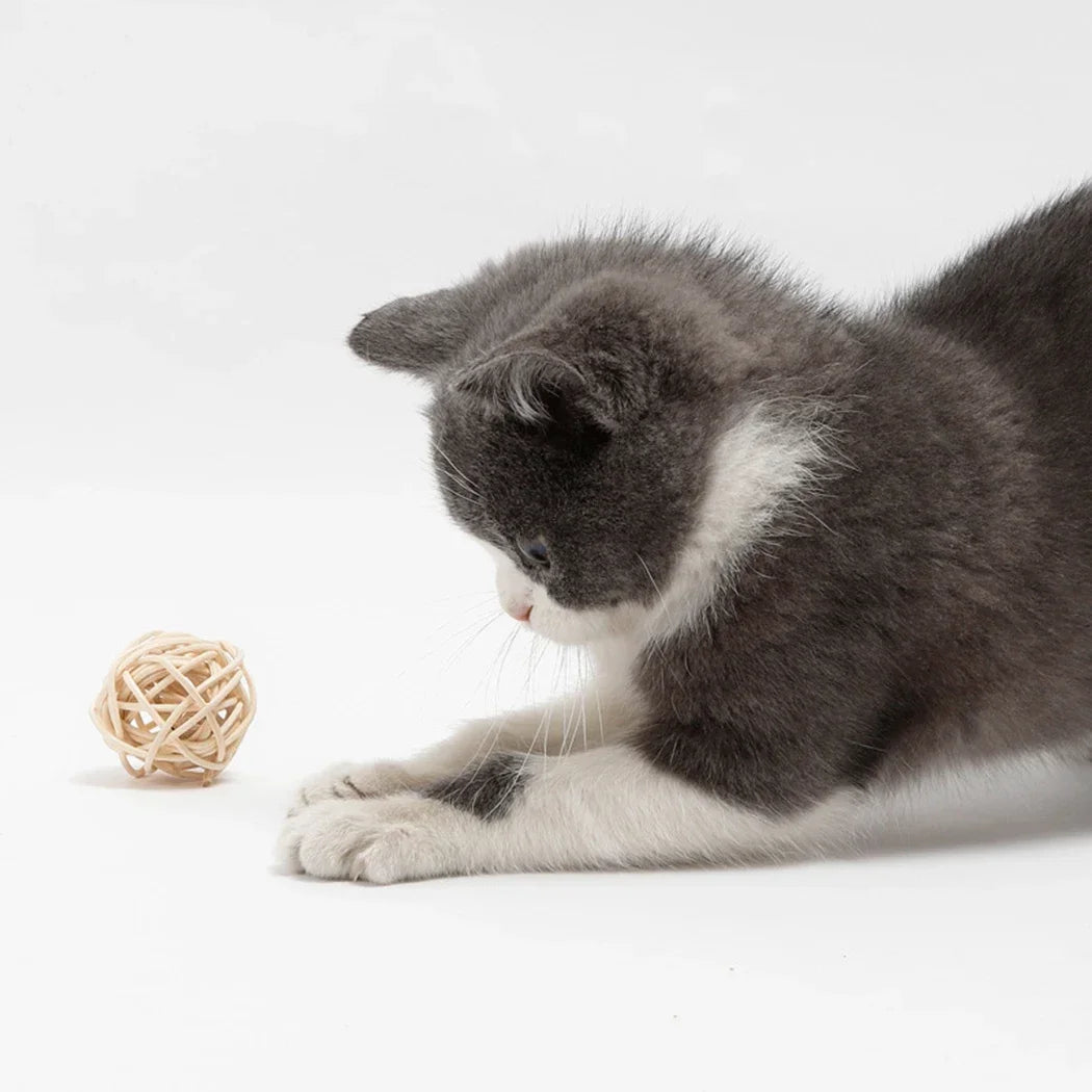 Rattan and Faux Feather Cat Ball Toy Set