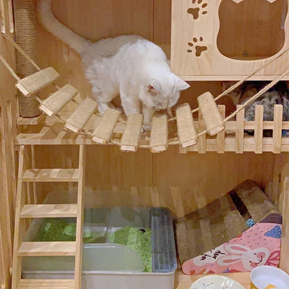 Rope Cat Bridge