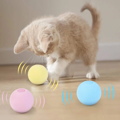 Smart Cat Toys Interactive Squeaky Ball