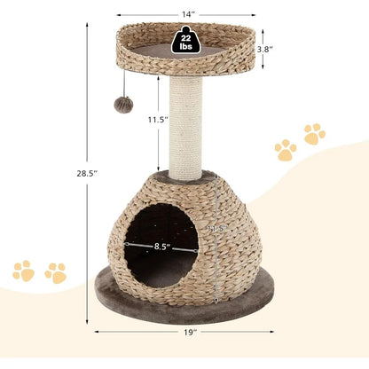 Modern Cat Tree with Sisal Post