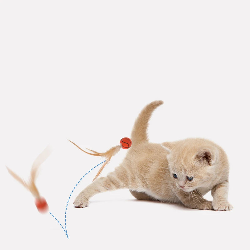 Feather Chase Cat Ball