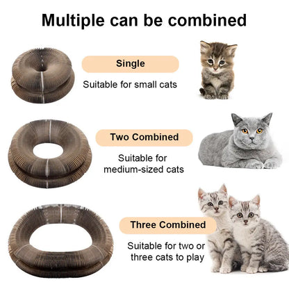 Foldable Magic Organ Interactive Cat Toy