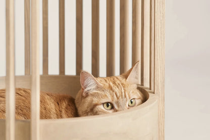 Luxury Wooden Cat House - Wicker Cat Bed and Enclosed Bedside Cat Furniture for Stylish Homes