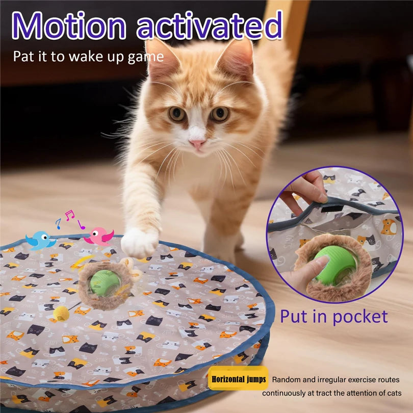 Ball Fast Rolling in Pouch Hide Cat Toy