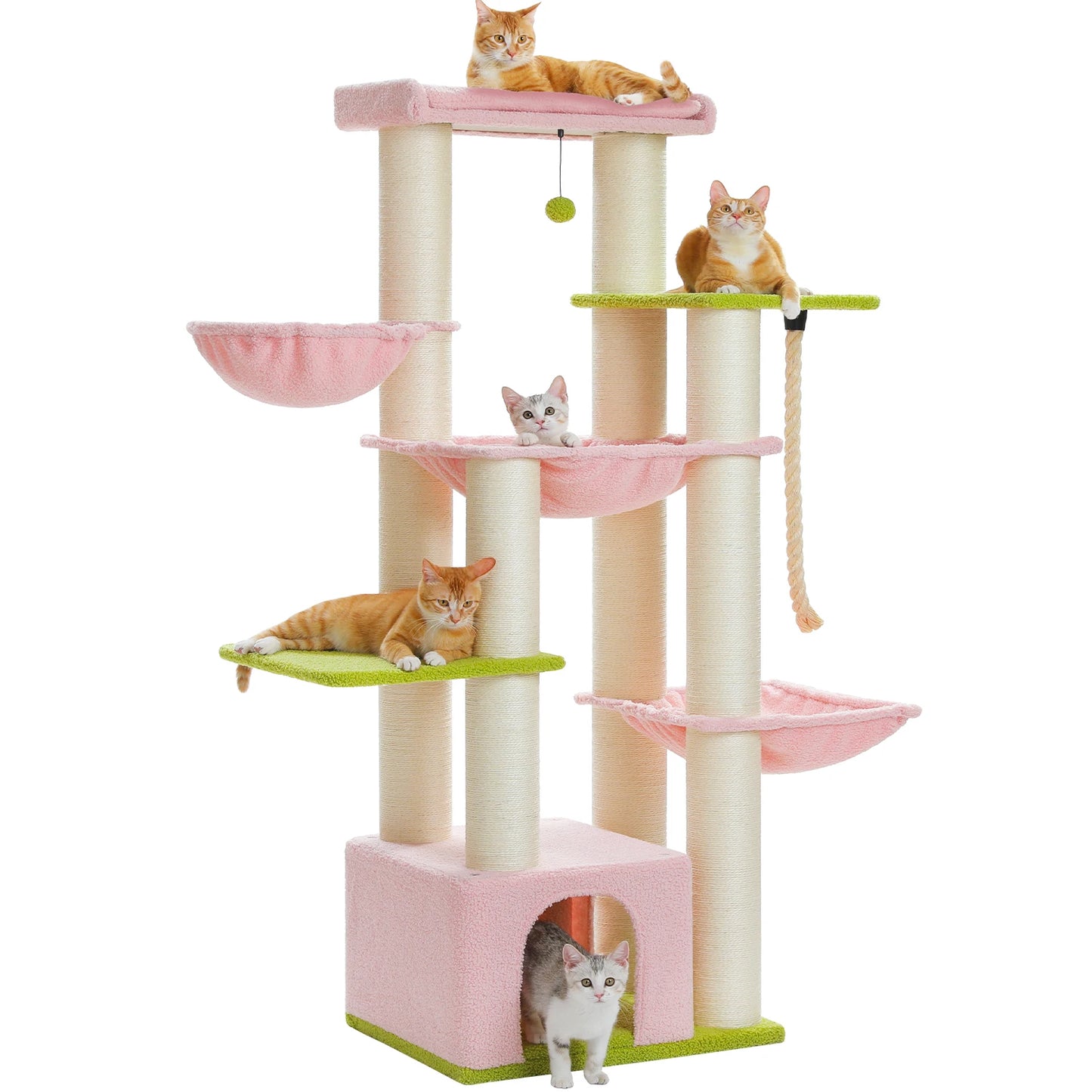 Amzing Cat Tree for Big Cats