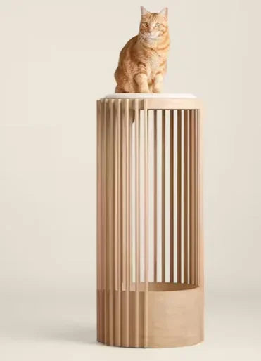 Luxury Wooden Cat House - Wicker Cat Bed and Enclosed Bedside Cat Furniture for Stylish Homes