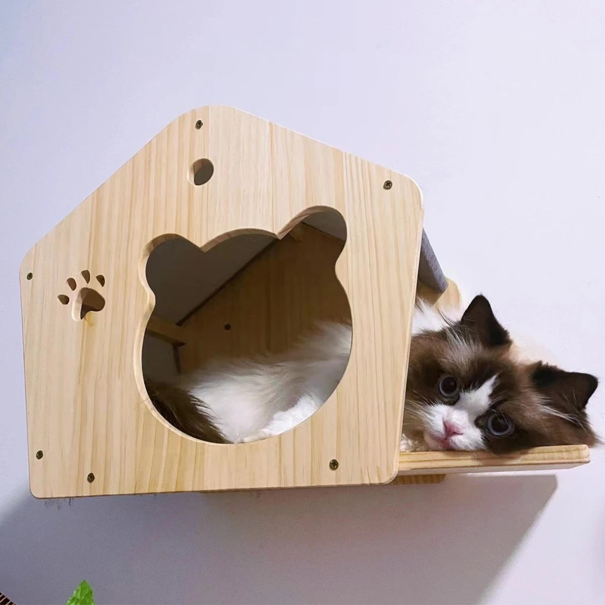 Cat Wall Mounted Climbing Shelves with Wooden Posts, Ladders, Hammock, and Cat House