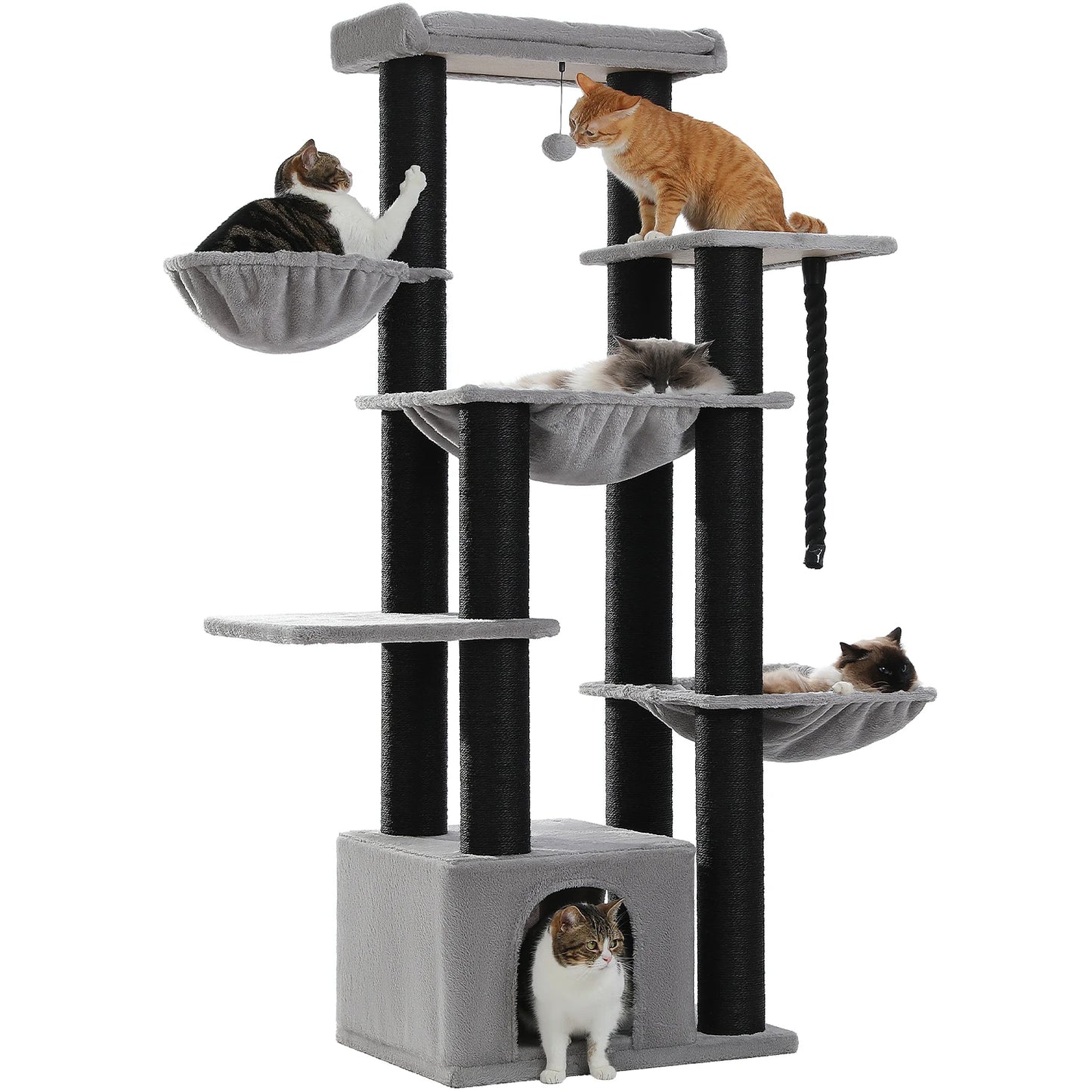 Amzing Cat Tree for Big Cats