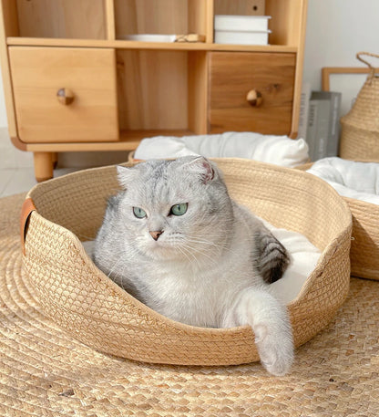 Four Seasons Cat Bed