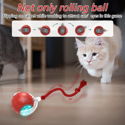 Super Drive Cat Rolling Balls with Bird Chirping Motion