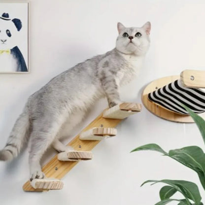 Indoor Cat Climbing Frame with Hammock, Scratching Post, and Ladder