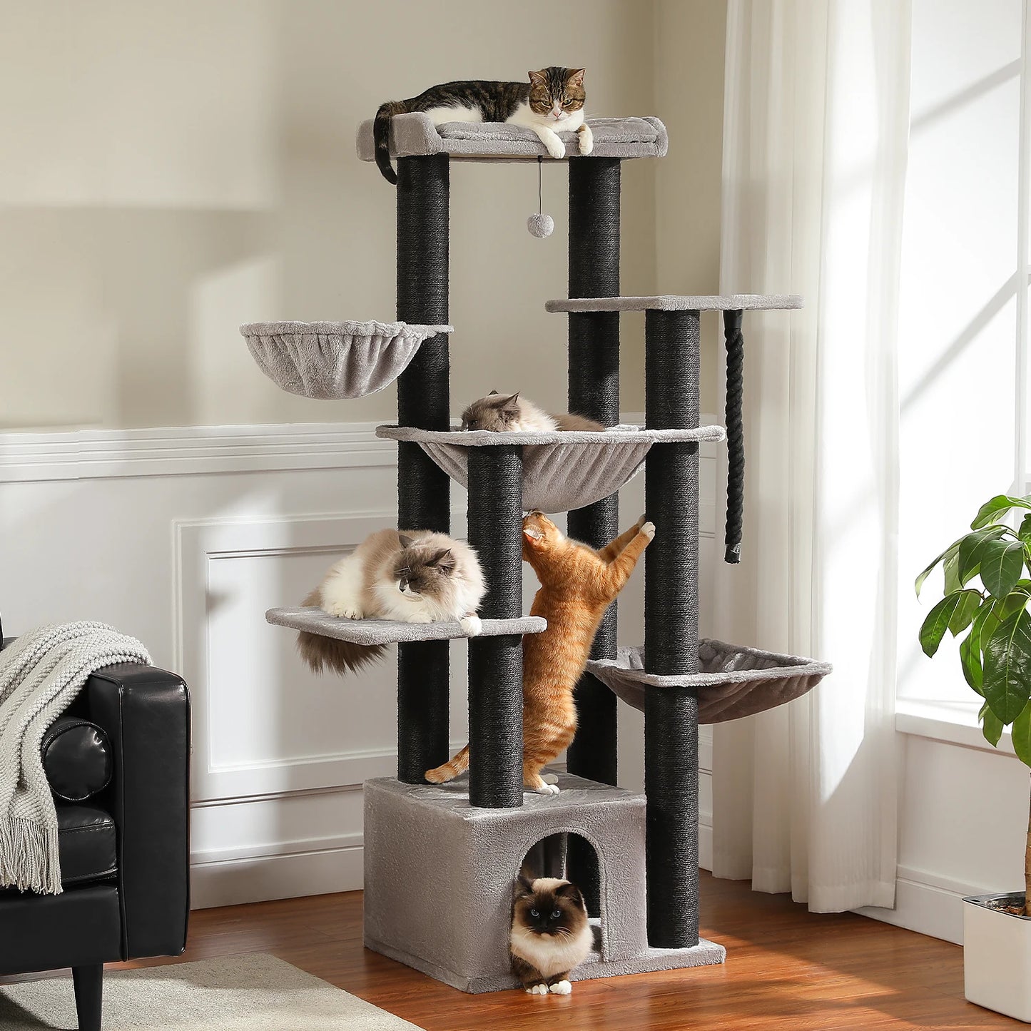 Amzing Cat Tree for Big Cats