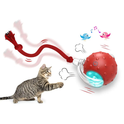 Super Drive Cat Rolling Balls with Bird Chirping Motion